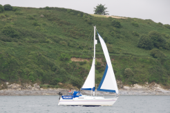 blackrock2010 7